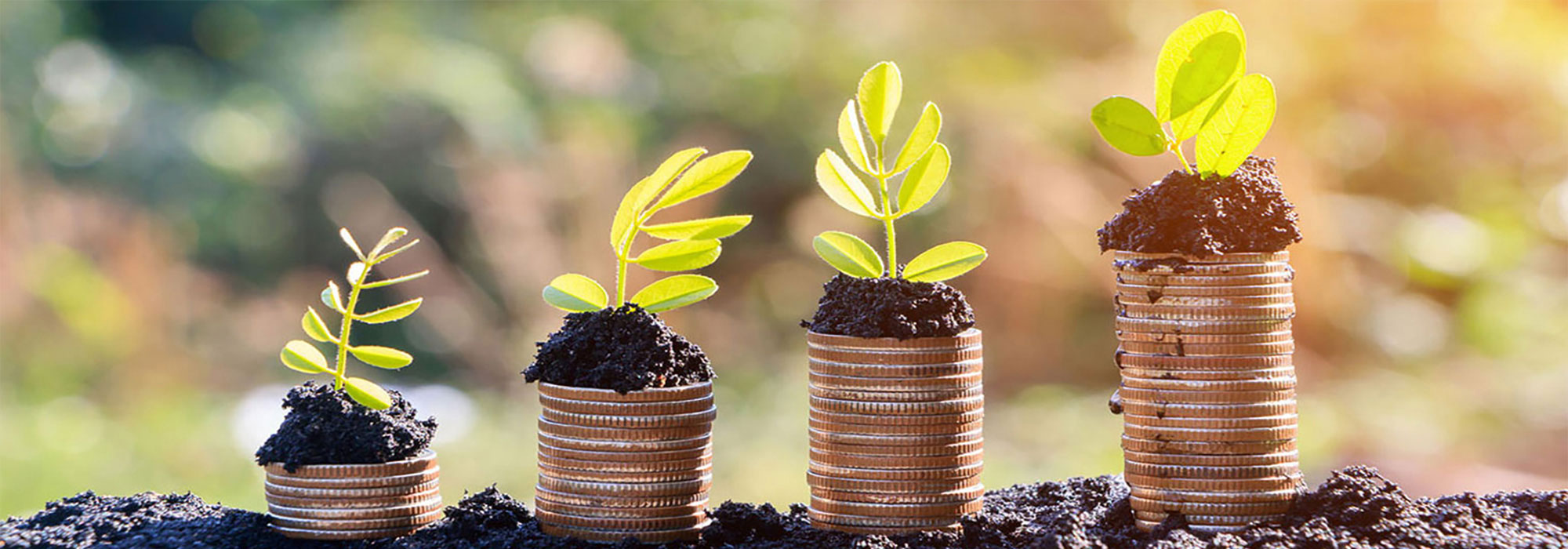 Source Project Funding from an astonishing Small-Capital investment scheme
