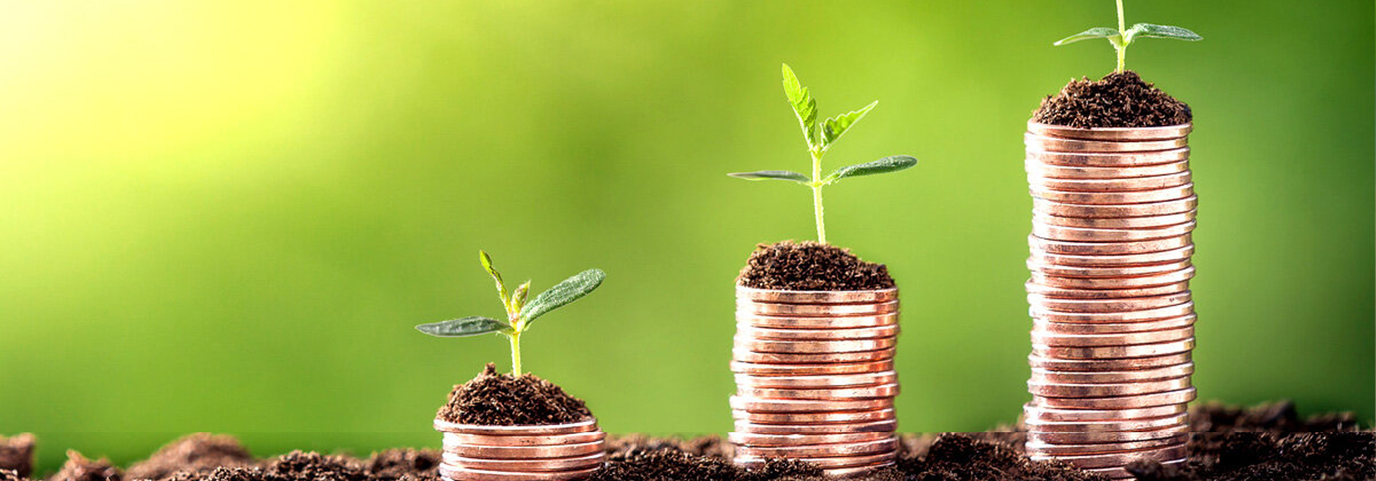 Charter PPP and secure unique Project Funding
